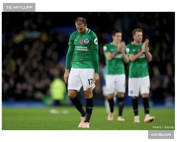 布伦特福德主场两球失利 冲击欧战区域脚步受阻